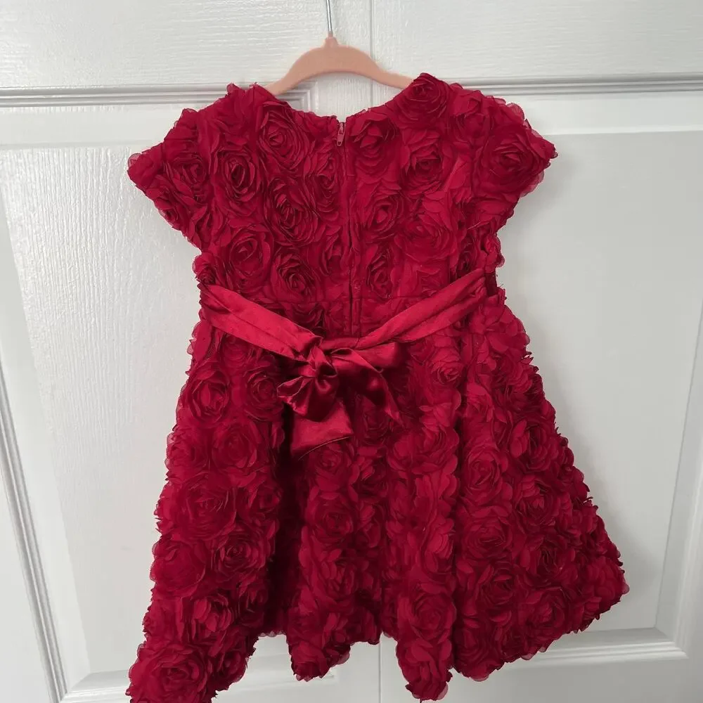 Biscotti Collzioni Standing Ovation Red Floral Fancy Lined Dress - 24 months